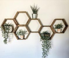 several hexagonal wooden shelves with plants on them hanging from the wall in front of a white wall