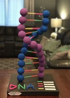 Dna Model Project Diy How To Make, Dna Models Projects, Model Of Dna Project, Dna Strand Project, Dna School Project, Easy Dna Model Project, Dna Molecule Project, How To Make Dna Model, Dnk Model Diy