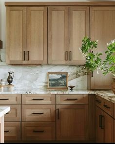 a kitchen with wooden cabinets and marble counter tops, potted plant in the corner