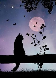 a cat sitting on top of a tree branch in front of a moon and stars