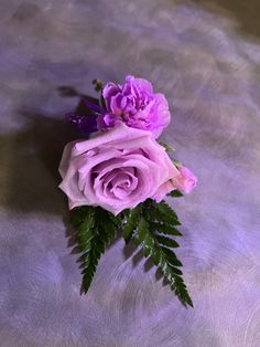 a purple rose with green leaves on a gray background