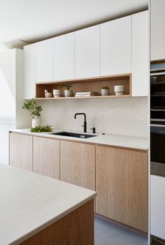 a kitchen with wooden cabinets and white counter tops is pictured in this image, there are plants on the shelf above the sink