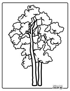 a black and white drawing of a tree