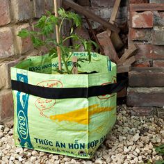 a bag that is sitting on the ground next to a plant in front of a brick wall