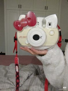 a person holding up a camera with hearts on it