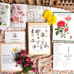 flowers and seed catalogs are displayed on a bed sheet with an old wooden frame