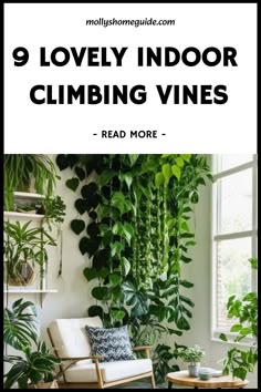 a living room filled with lots of green plants and greenery on the wall, in front of a window