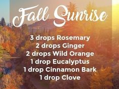 Fall Essential Oil Diffuser Blends, Fall Sunrise, Cassia Essential Oil, Essential Oils For Headaches, Essential Oils Guide, Essential Oil Diffuser Recipes