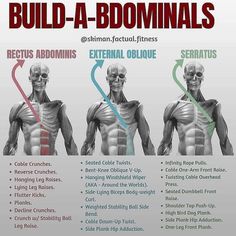 an image of the back and shoulder muscles with instructions on how to build - a - bommas