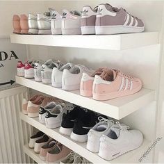 many pairs of shoes are on shelves in a shoe store, with the name adidas above them