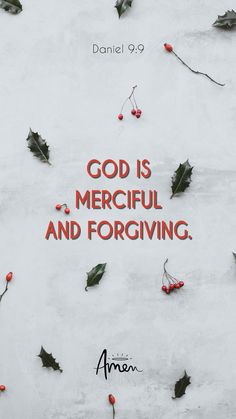 the cover of god is merciful and forgiving, with holly leaves on it