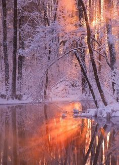 the sun shines brightly through the trees and snow on the water's surface