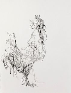 a black and white drawing of a rooster on a white background with lines in the foreground