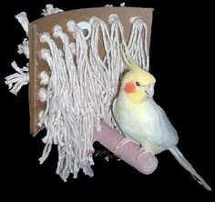 a yellow and white bird sitting on top of a piece of paper with string attached to it