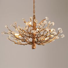 a chandelier hanging from a chain with clear glass balls and branches on it