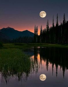 the full moon is setting over a lake with grass and trees in front of it