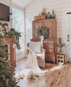 a living room filled with furniture and a christmas tree