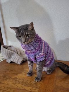 a cat sitting on top of a wooden floor wearing a purple knitted sweater and looking at the camera