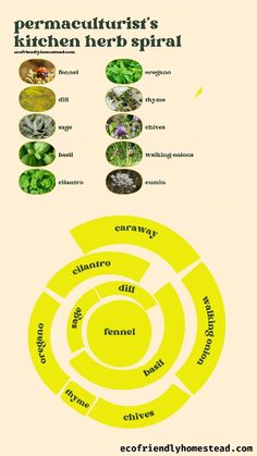 the circular diagram shows different types of plants