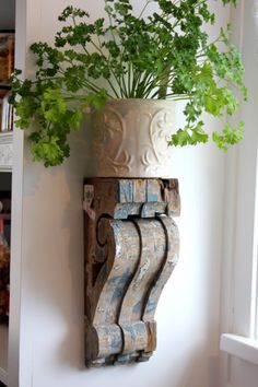 a potted plant sitting on top of a wooden shelf next to a white wall