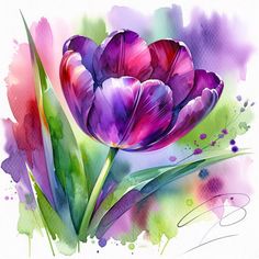 watercolor painting of purple tulips with green leaves