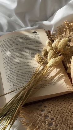 an open book sitting on top of a bed next to dried flowers