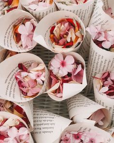 many pink flowers are in paper cups on top of an open book