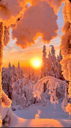 the sun is setting behind some trees covered in snow and ice as seen through an archway