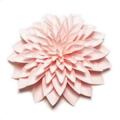 a pink paper flower on a white background