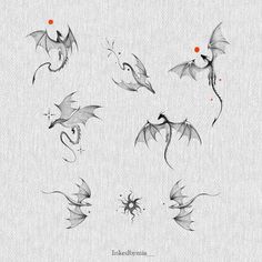 some drawings of birds flying in the air with red dots on their backs and wings