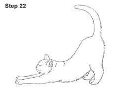 a black and white drawing of a cat with the words step 22 written below it