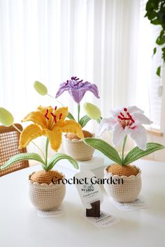 three crocheted flowers in small pots on a table