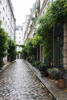 a cobblestone street with potted plants and trees lining the sides of it