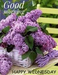 purple lilacs in a basket on a bench with the words good morning happy wednesday