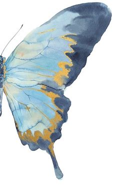 a watercolor painting of a blue and yellow butterfly