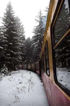 a train traveling through a snow covered forest next to tall pine trees on a snowy day