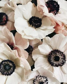 white and black flowers are in a vase