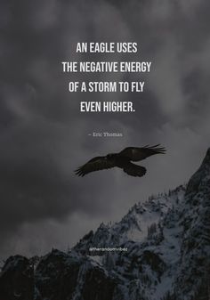 an eagle uses the negative energy of a storm to fly even higher