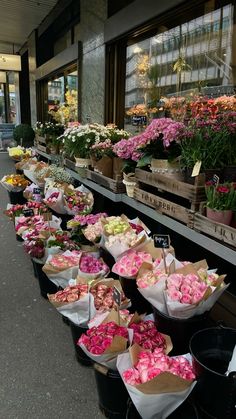 many different types of flowers are on display