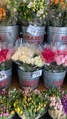 several buckets filled with different colored flowers