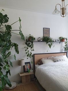 a bedroom with a bed, plants and pictures on the wall