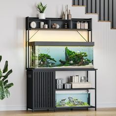 a fish tank sitting on top of a shelf next to a plant and bookshelf