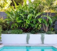 a pool surrounded by trees and plants in the middle of a backyard with blue water