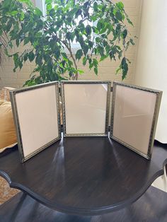 three framed pictures on a table with a tree in the background