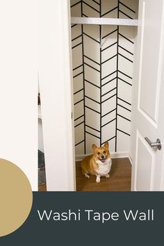 a dog sitting on the floor in front of a closet with black and white wallpaper