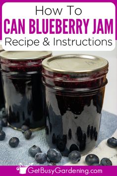 2 small glass mason jars filled with a deep purple jam surrounded by blueberries Blueberry Jelly Recipe, Homemade Blueberry Jelly, Toast Dessert, Sandwiches Breakfast, Blueberry Jelly