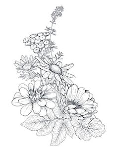 a drawing of flowers on a white background