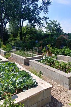 an outdoor garden with many different types of plants and vegetables growing in the area around it