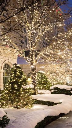 christmas lights on trees and snow in front of a building