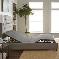 a bed with a mattress on top of it next to a plant in a living room